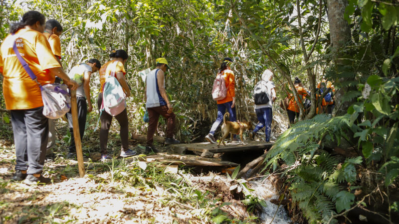 Natureza como terapia: Cerrado auxilia na recuperação emocional