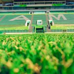 Bezerrão recebe nova reforma do gramado e será palco de treinos da Seleção Brasileira – Secretaria de Estado de Esporte e Lazer
