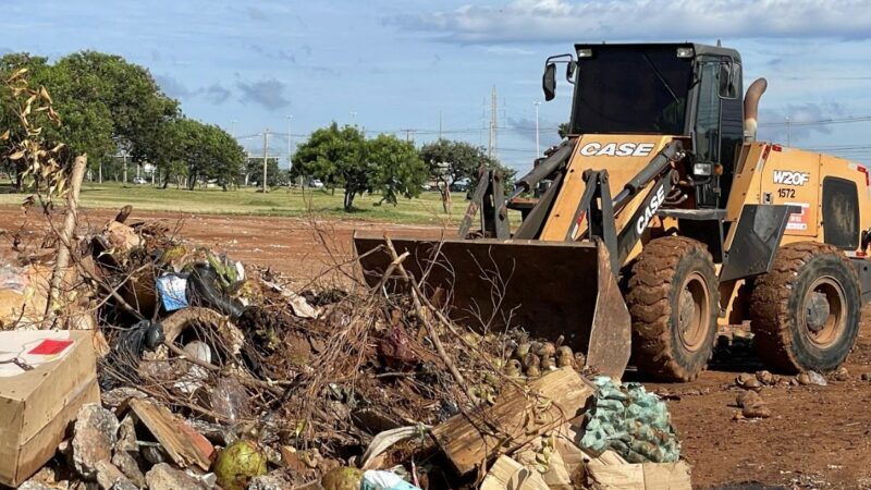 Mutirões de limpeza retiram mais de 15,6 mil toneladas de entulhos em 19 cidades do DF
