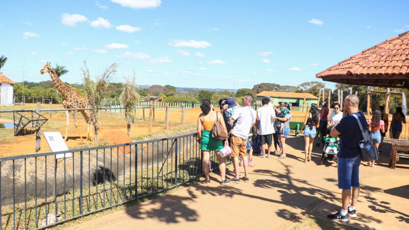 Vai de Graça: Confira linhas que atendem Jardim Botânico e Zoológico aos domingos