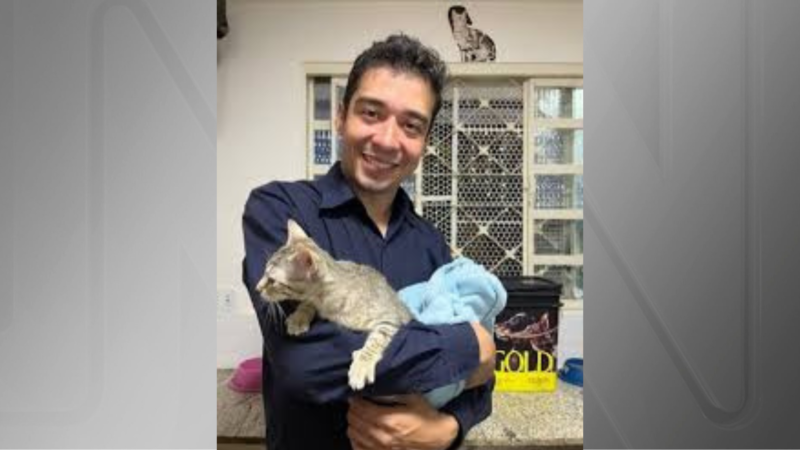 Psicólogo que fez “experimentos“ com gatos no DF é indiciado 16 vezes