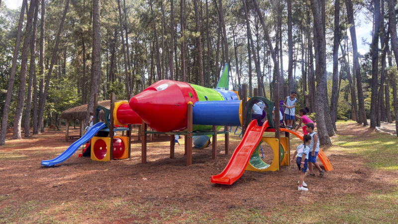 Jardim Botânico de Brasília ganha novo playground para divertir a criançada
