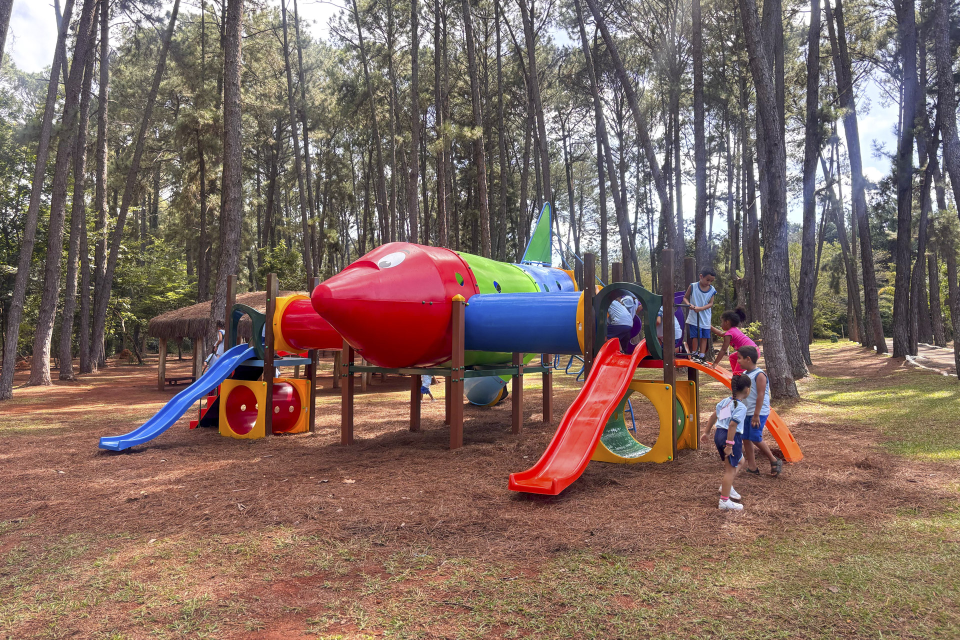 Jardim Botânico de Brasília ganha novo playground para divertir a criançada