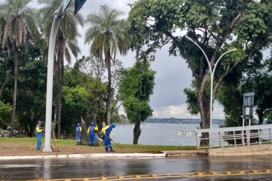 Região central de Brasília ganha ações de manutenção em áreas públicas