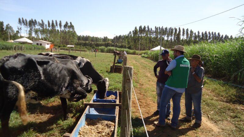 Emater-DF celebra 47 anos de dedicação ao desenvolvimento rural do Distrito Federal