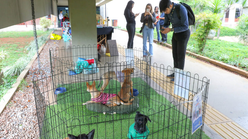 Feira pet incentiva adoção responsável e bem-estar animal no anexo do Palácio do Buriti