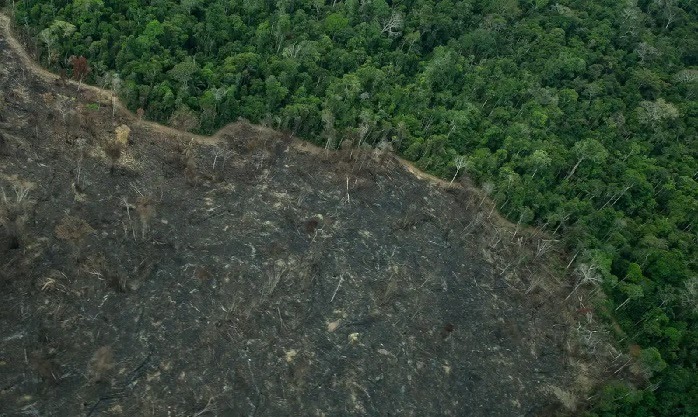 Mudança em licenciamento ambiental e fim da reeleição marcam semana do Senado