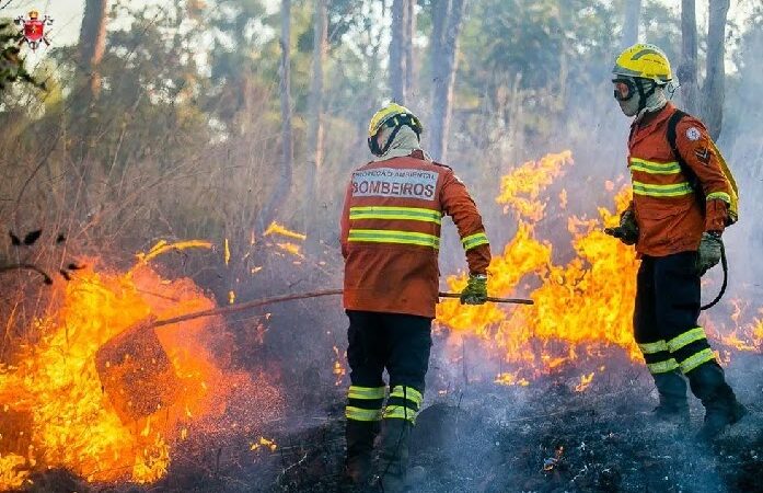 Combate a incêndios florestais – Ibram abre inscrições para contratar 150 brigadistas no DF; salários chegam a R$ 3,7 mil