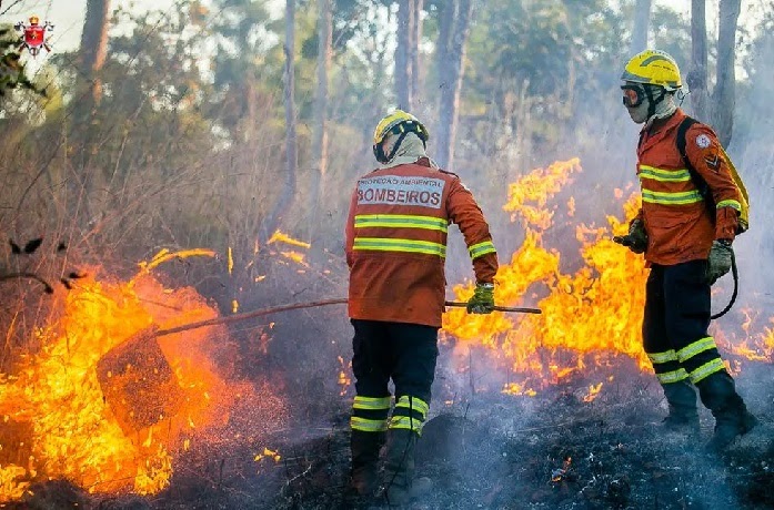 Combate a incêndios florestais – Ibram abre inscrições para contratar 150 brigadistas no DF; salários chegam a R$ 3,7 mil