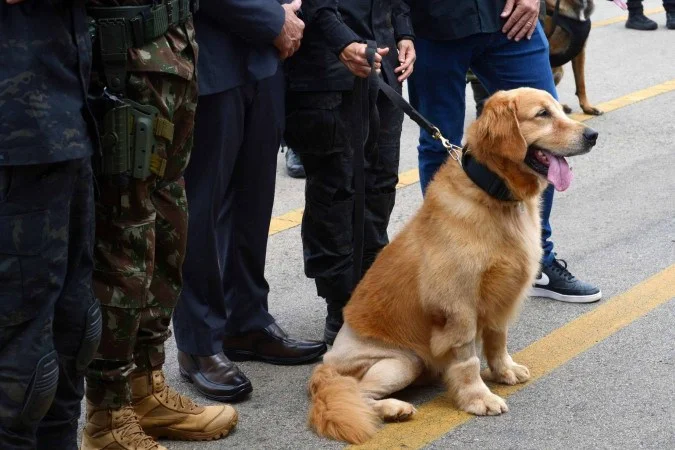 Bombeiros treinam cães de apoio para crianças autistas e sem visão