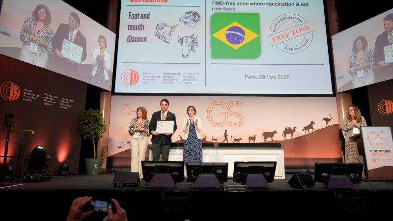 OMSA reconhece Brasil como zona livre de febre aftosa sem vacinação