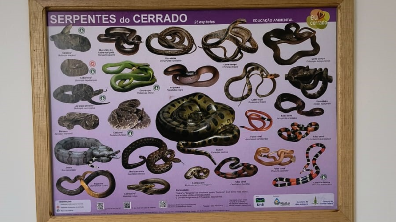 Lançamento de material educativo marca abertura da Semana do Meio Ambiente