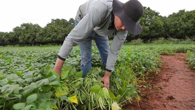 GDF abre edital para assentamento de famílias rurais no Gama