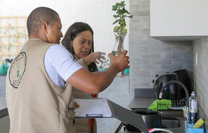 Esforços do GDF refletem na redução de mais de 95% dos casos de dengue em Brasília
