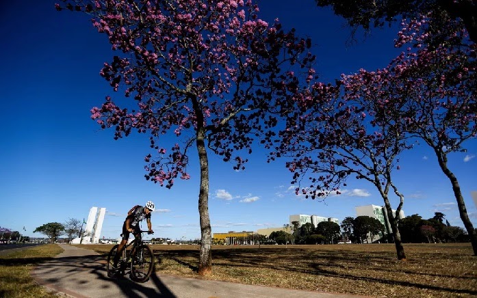 Dia de Corpus Christi será de frio e seca no DF; veja previsão