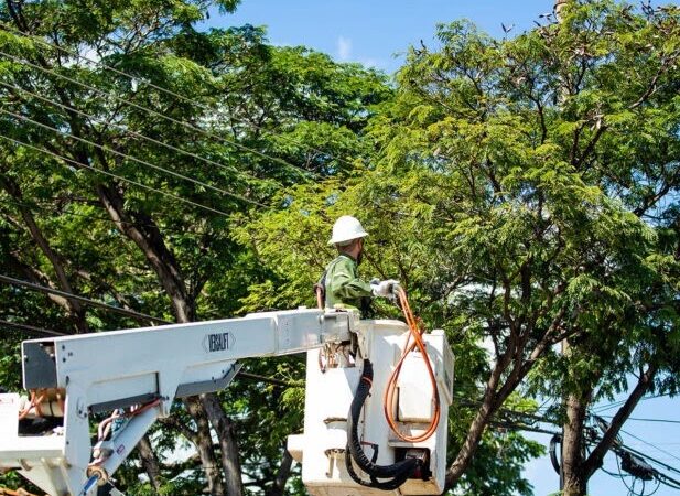 Endereços em Taguatinga ficarão sem energia na segunda-feira (23) para manutenção da rede