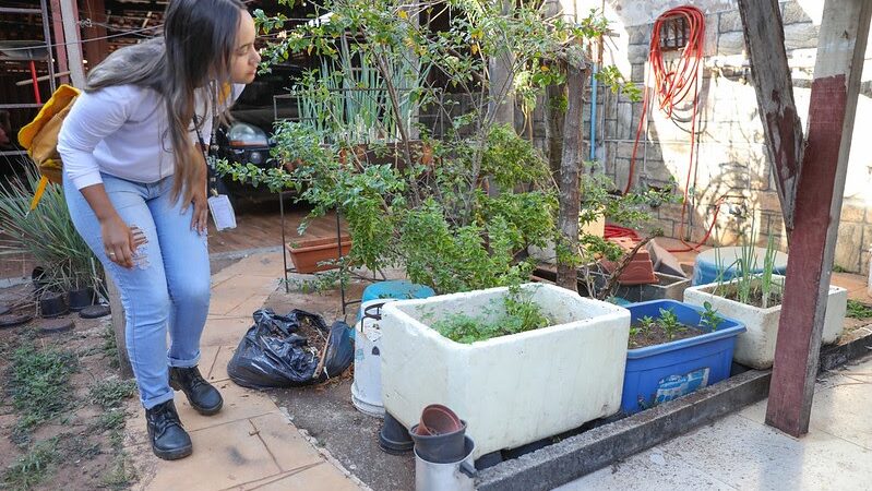 Combate à dengue no período de estiagem garante controle dos casos no DF