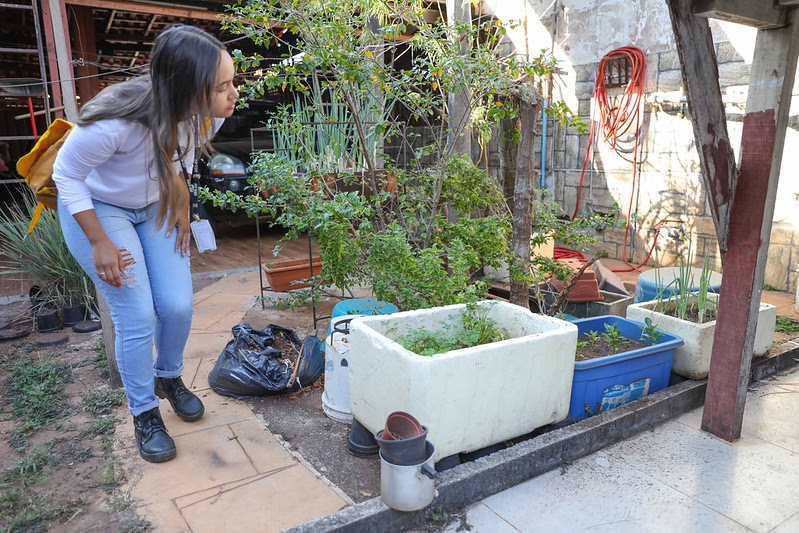 Combate à dengue no período de estiagem garante controle dos casos no DF