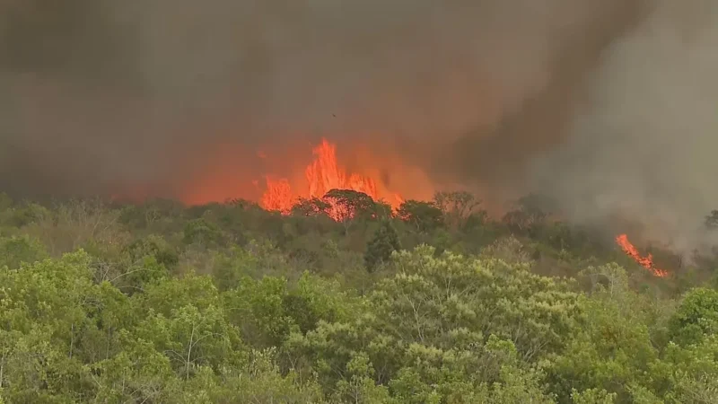 Câmara aprova pena maior para autores de incêndios criminosos