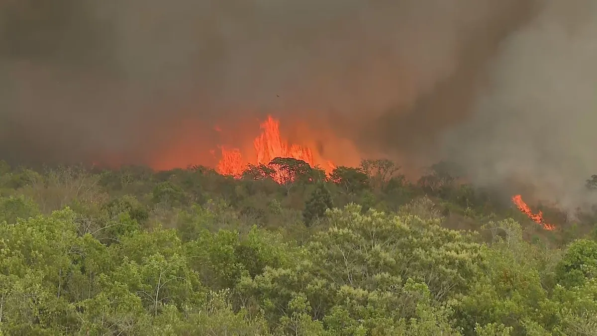 Câmara aprova pena maior para autores de incêndios criminosos
