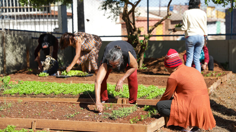 Hortoterapia vira ferramenta de cuidado e inclusão no Centro de Convivência do Idoso de Santa Maria