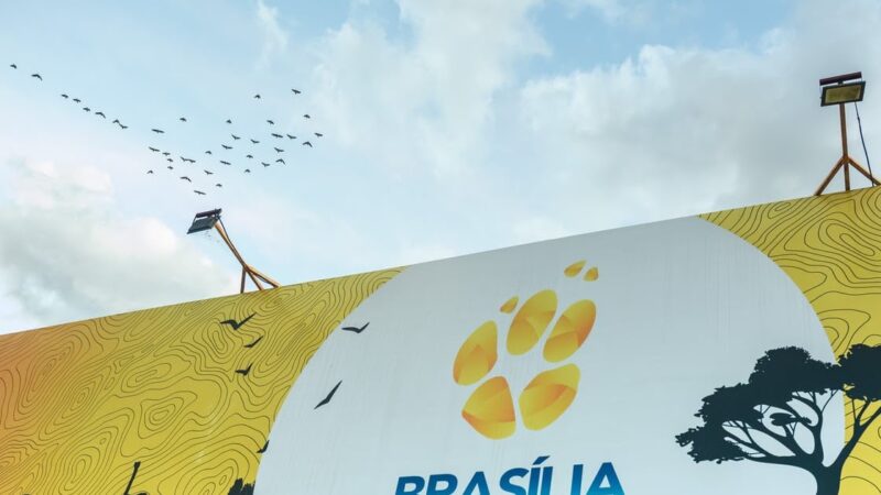 Gripe Aviária: Zoológico de Brasília Detecta Novo Caso Suspeito e Adia Reabertura