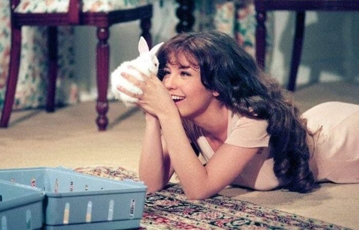 Novela de grande sucesso dos anos 1990 retorna à grade do SBT