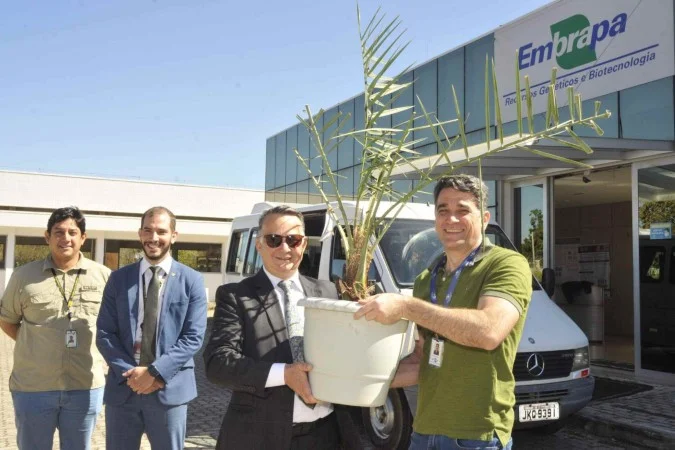 Mudas de tamareiras dos Emirados Árabes serão plantadas no Palácio da Alvorada