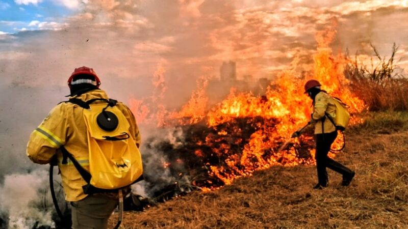 DF amplia combate a incêndios florestais com uso de inteligência artificial