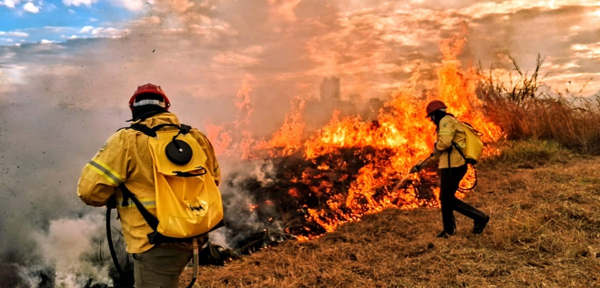 DF amplia combate a incêndios florestais com uso de inteligência artificial