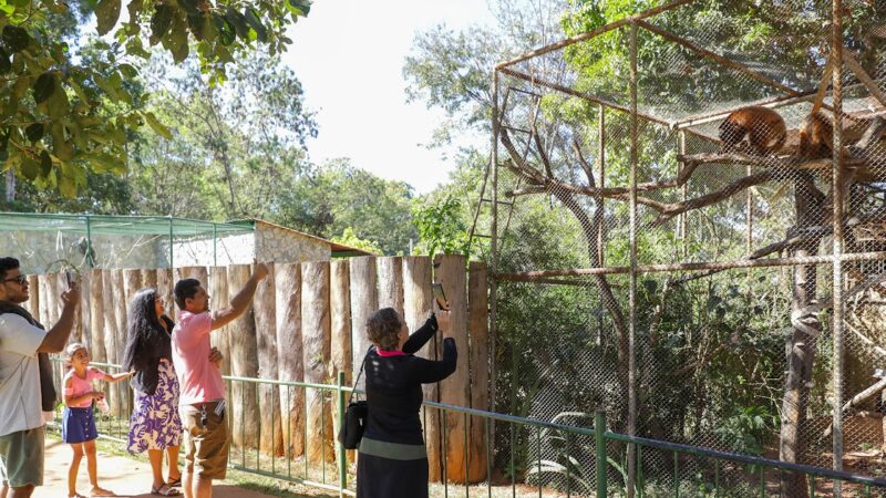 Zoológico de Brasília reabre com funcionamento diário durante o mês de julho