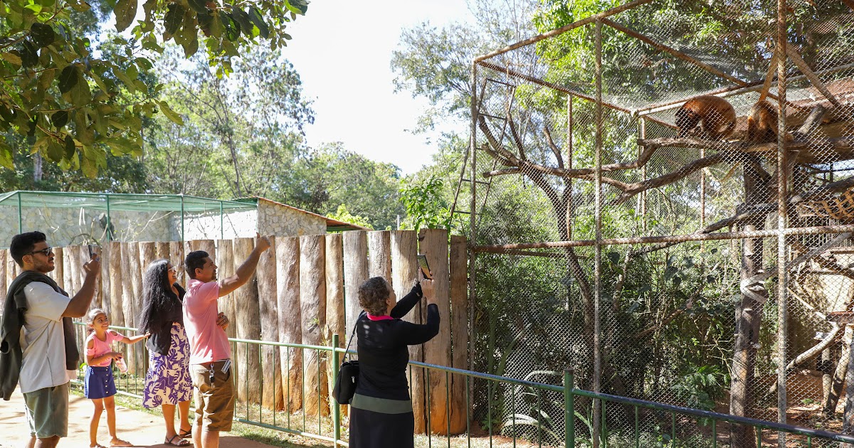 Zoológico de Brasília reabre com funcionamento diário durante o mês de julho