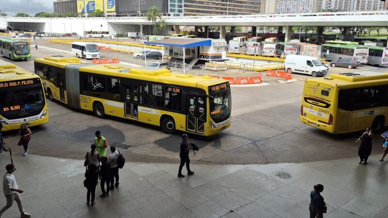 Gama e Santa Maria ganham novas linhas de ônibus e mais viagens em 2025