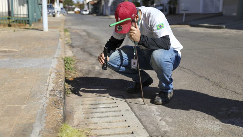 GDF reforça ações preventivas contra escorpiões