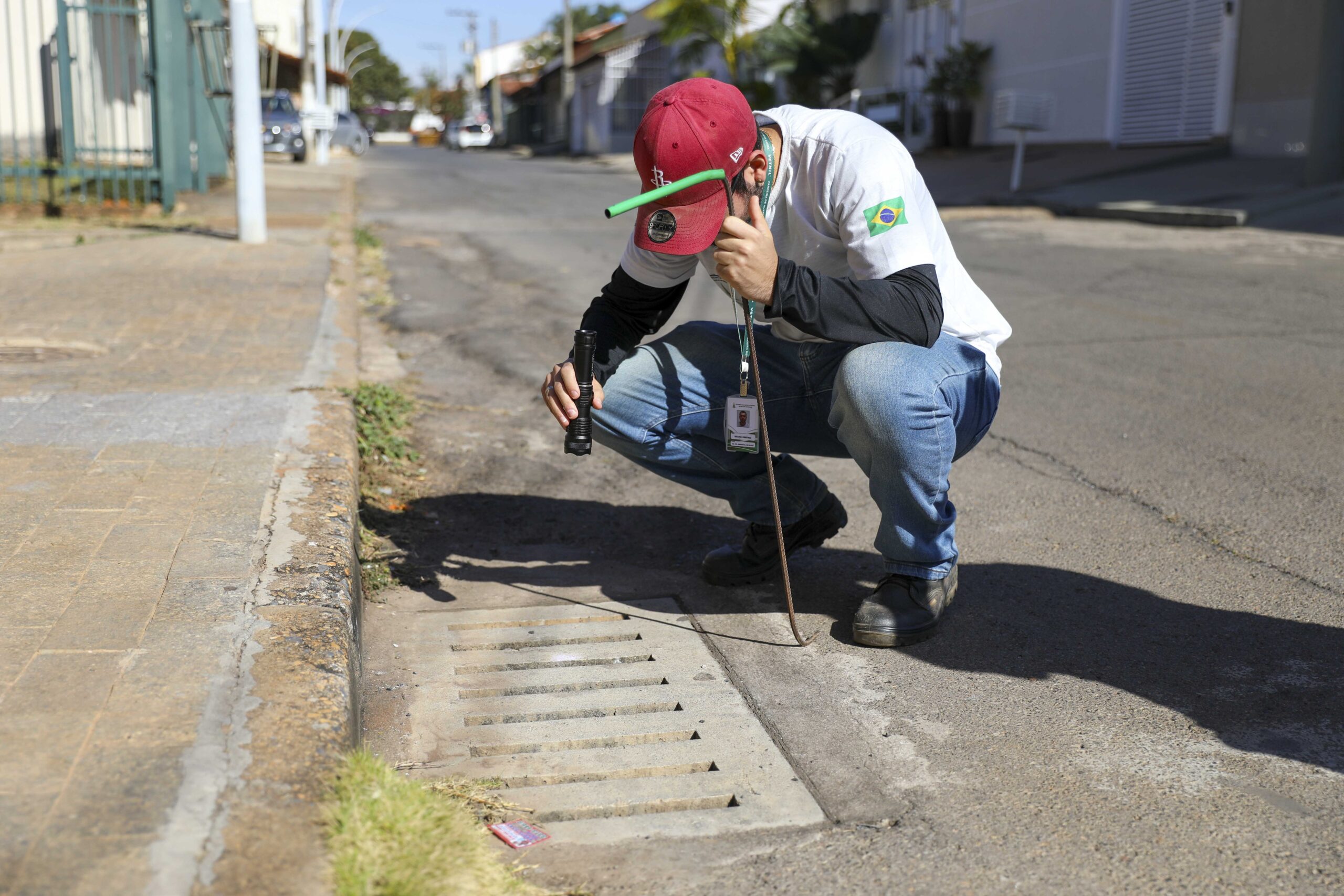 GDF reforça ações preventivas contra escorpiões
