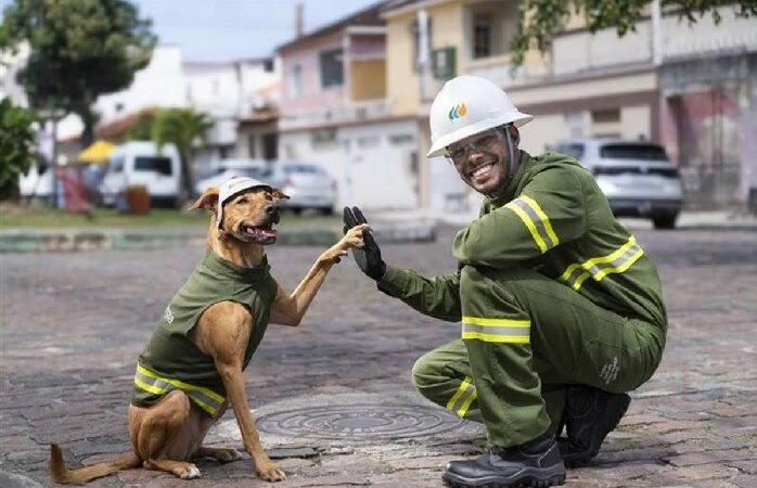 Max, o “ator” caramelo, protagoniza ação sobre segurança elétrica