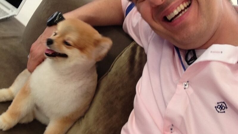 “Abrace seu filho de 4 patas”, recomenda Zucatelli após morte de cão