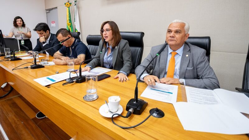 Comissão acata campanhas sobre doenças e o Dia dos Cuidados Paliativos