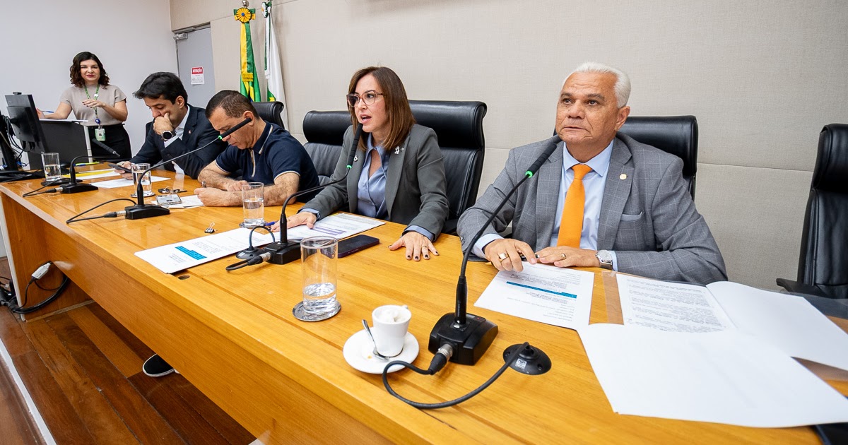 Comissão acata campanhas sobre doenças e o Dia dos Cuidados Paliativos