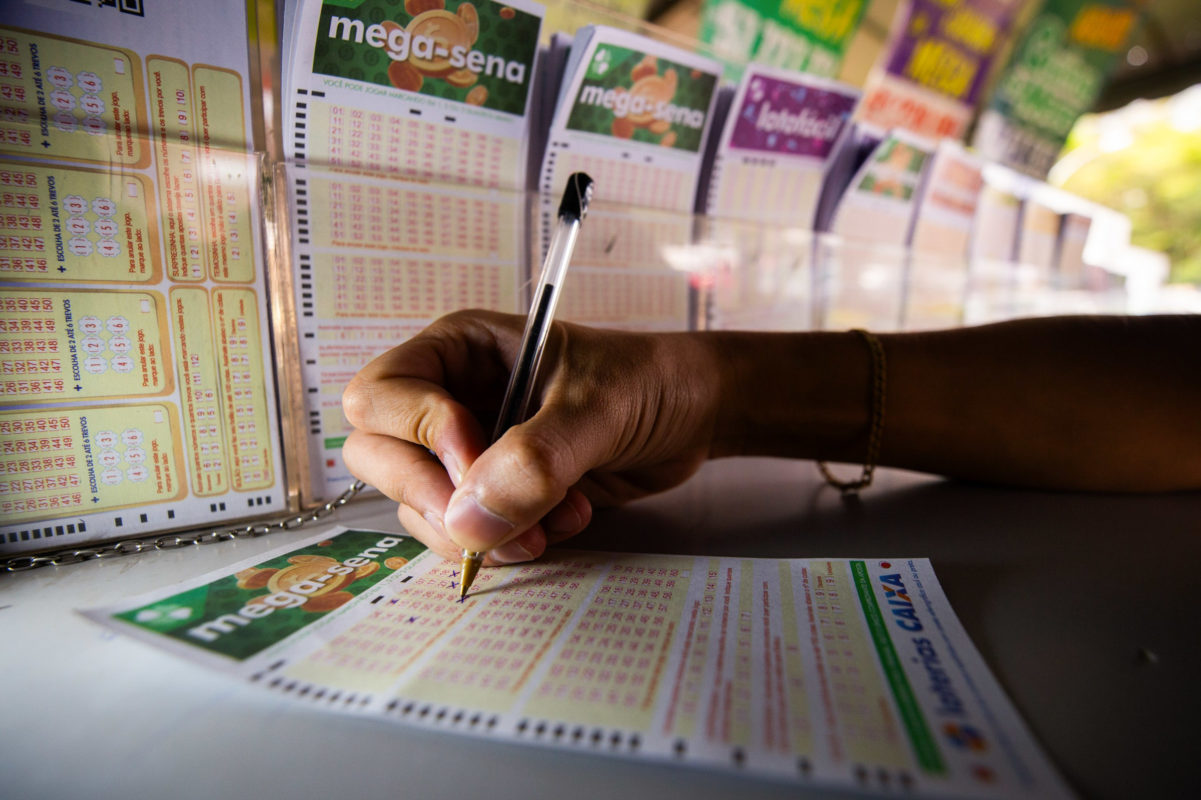 Loterias: Quina sorteia R$ 12 milhões nesta segunda (25/8). Confira