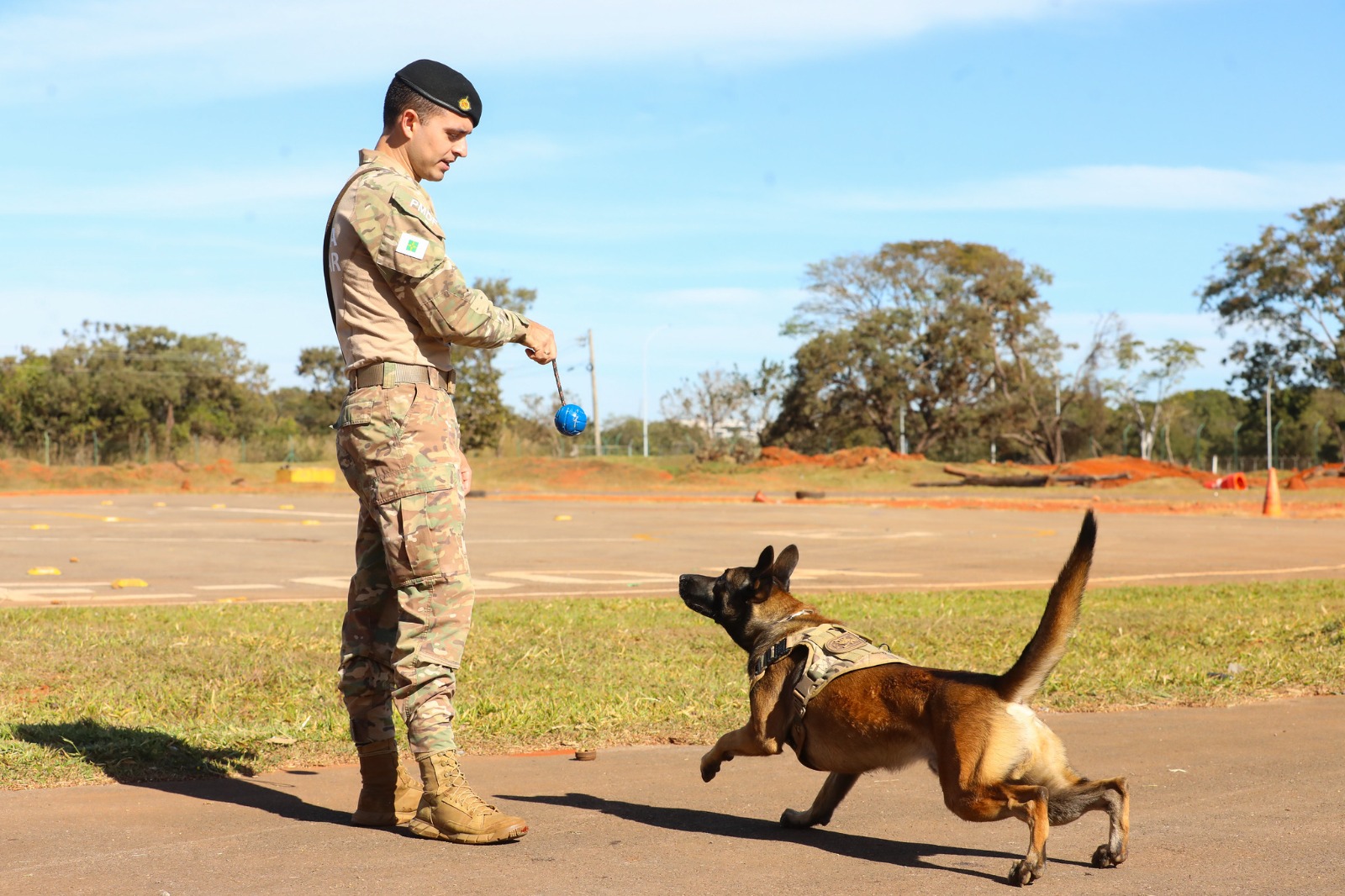 PMDF abre seleção para curso operacional de cinotecnia