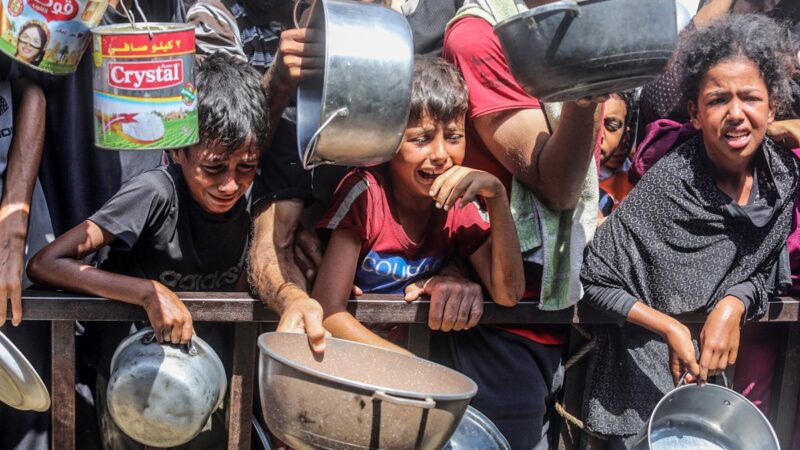 Sem EUA, Conselho da ONU diz que fome em Gaza é “ação humana”