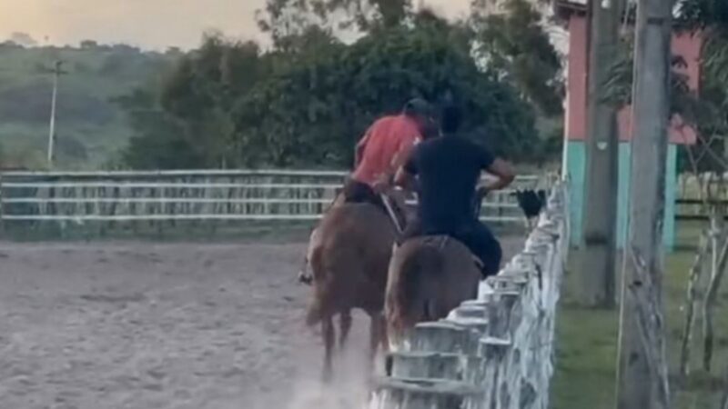 Vaqueiro cai de cavalo durante treino e morre pisoteado