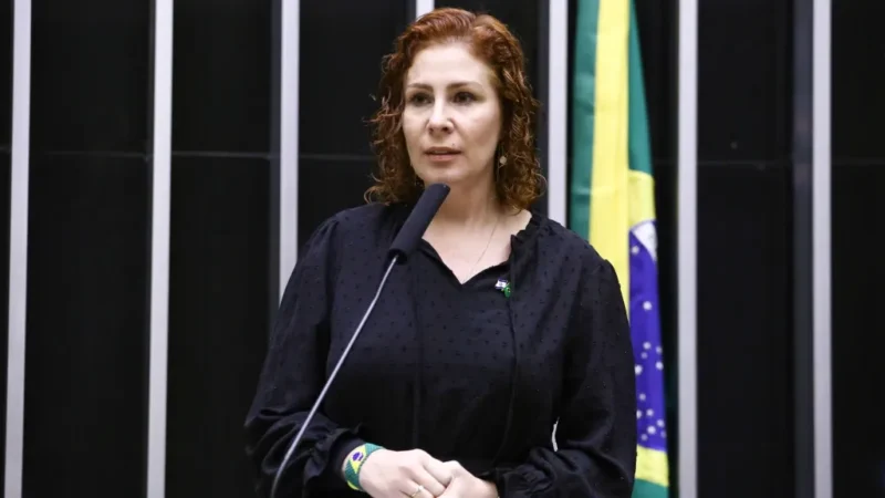 “Zambelli não deve perder mandato” , diz líder do PL