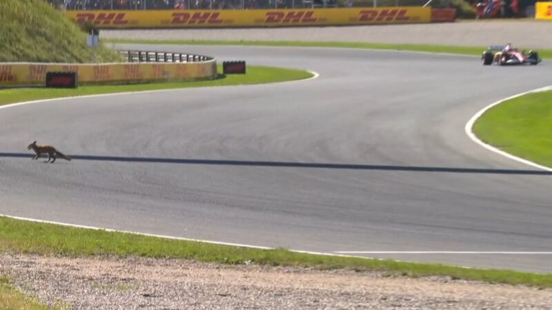 Vídeo: forasteiro invade pista durante F1 e é flagrado por Leclerc