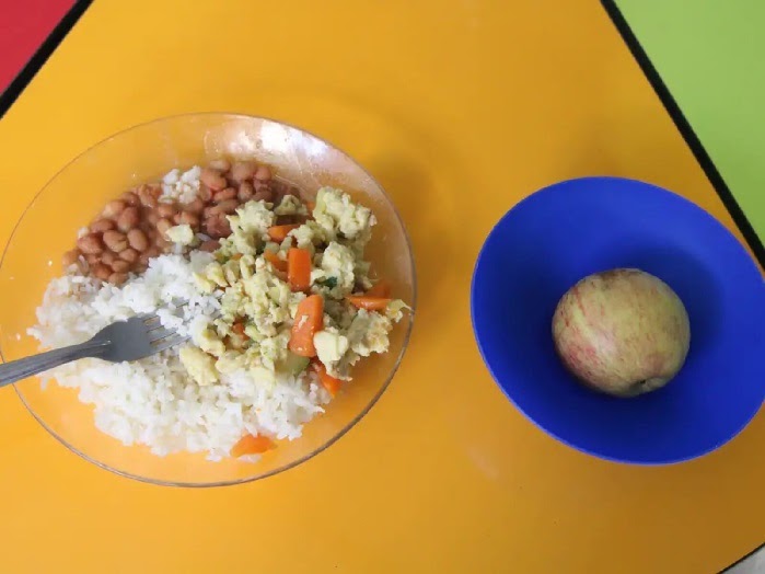 Câmara aprova PL que determina prazo mínimo de validade para compra de alimentos da merenda escolar