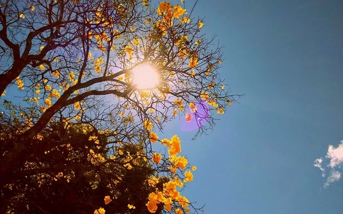 Primavera começa nesta segunda; no DF, calor e chuvas isoladas devem marcar chegada da estação