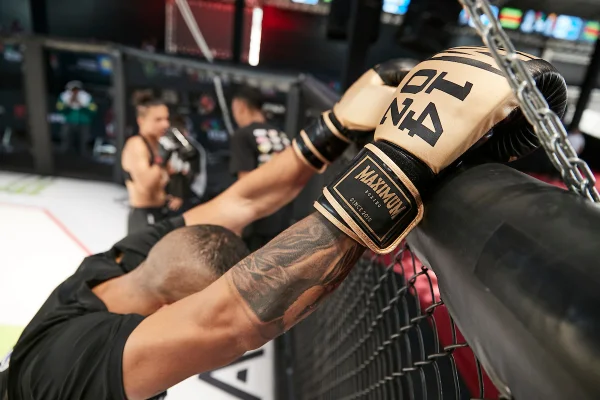 É hoje! 2ª edição do BSB Fight movimenta o DF; veja programação