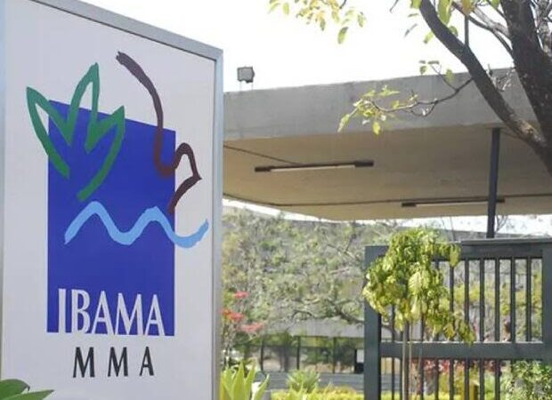 Governo autoriza nomeação de 460 aprovados em concurso do Ibama