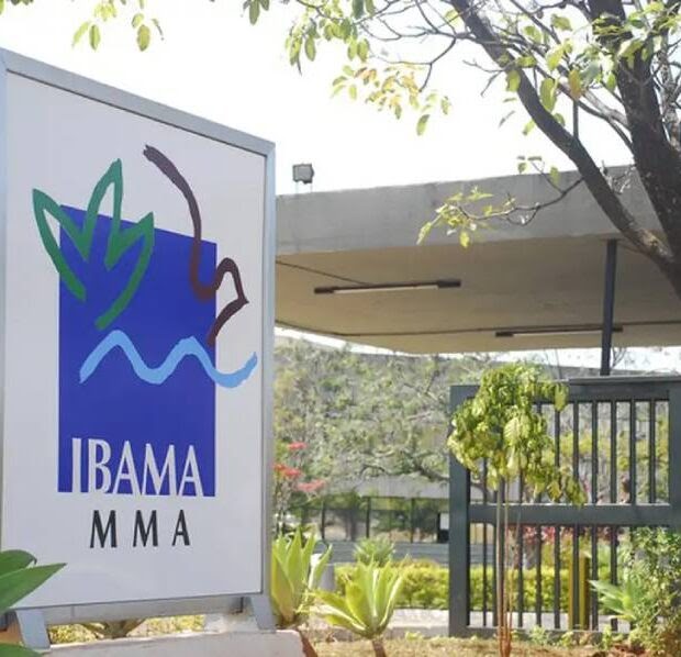 Governo autoriza nomeação de 460 aprovados em concurso do Ibama